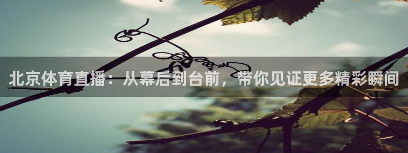 小九直播足球在线直播：北京体育直播：从幕后到台前，带你见证更多精彩瞬间