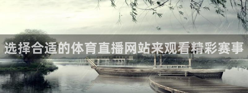 小九直播nba直播回放：选择合适的体育直播网站来观看精彩赛事