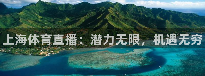 小九直播nba免费观看：上海体育直播：潜力无限，机遇无穷