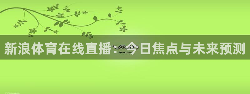 小九直播nba在线观看：新浪体育在线直播：今日焦点与未来预测