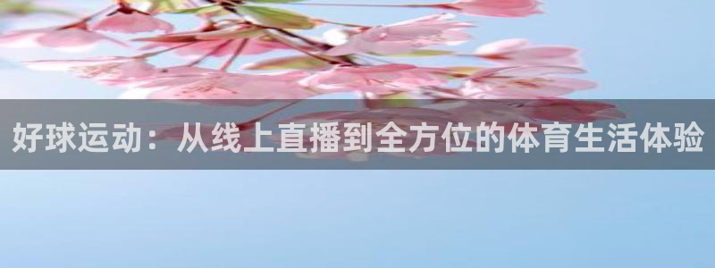 小九直播官网首页入口：好球运动：从线上直播到全方位的体育生活体验