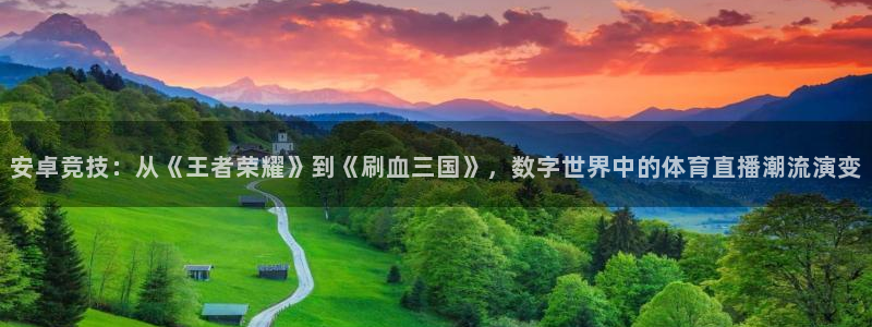 小九直播中超：安卓竞技：从《王者荣耀》到《刷血三国》，数字世界中的体育直播潮流演变