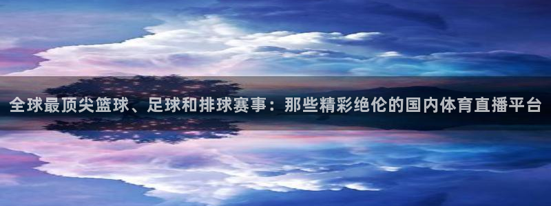 nba小九直播免费观看直播在线：全球最顶尖篮球、足球和排球赛事：那些精彩绝伦的国内体育直播平台
