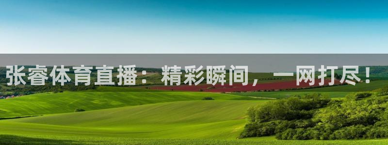 小九直播nba免费观看下载：张睿体育直播：精彩瞬间，一网打尽！