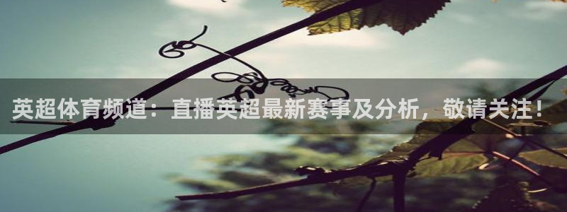 jrs小九直播低调：英超体育频道：直播英超最新赛事及分析，敬请关注！