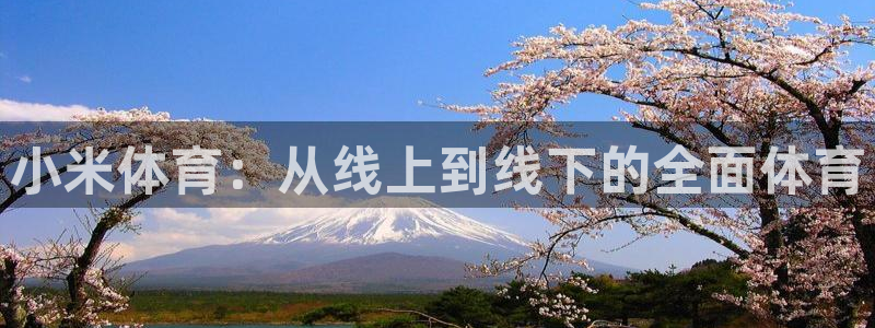 小九直播间足球直播：小米体育：从线上到线下的全面体育