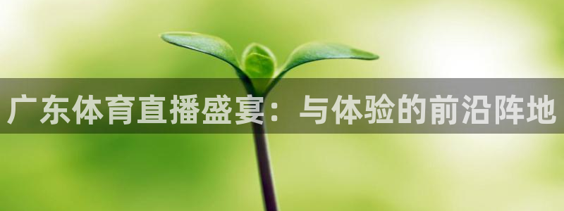 小九直播app：广东体育直播盛宴：与体验的前沿阵地