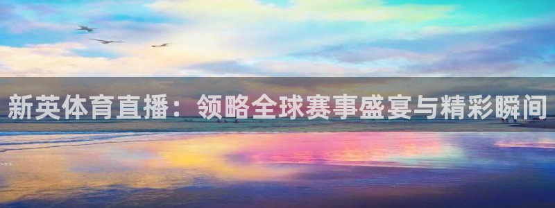 nba直播小九直播在线观看：新英体育直播：领略全球赛事盛宴与精彩瞬间