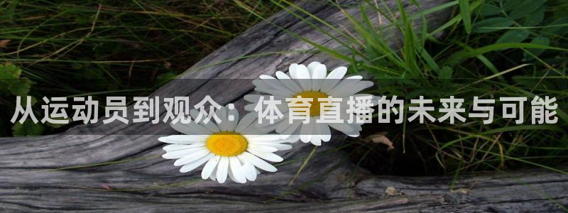 小九直播cba：从运动员到观众：体育直播的未来与可能