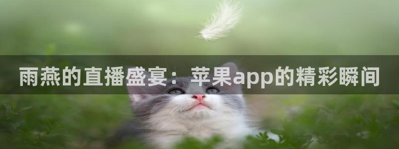 nba小九直播：雨燕的直播盛宴：苹果app的精彩瞬间