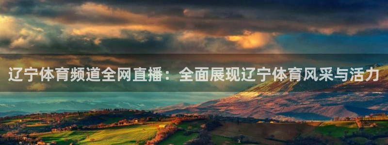小九直播足球在线观看：辽宁体育频道全网直播：全面展现辽宁体育风采与活力