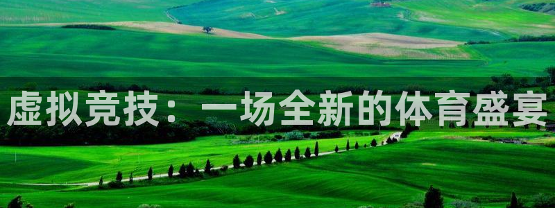 小九直播间：虚拟竞技：一场全新的体育盛宴