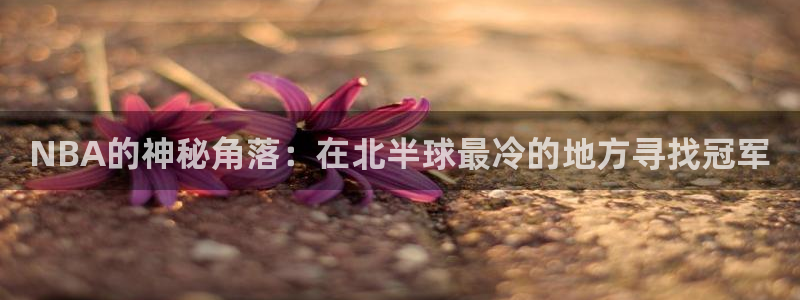 小九直播足球：NBA的神秘角落：在北半球最冷的地方寻找冠军