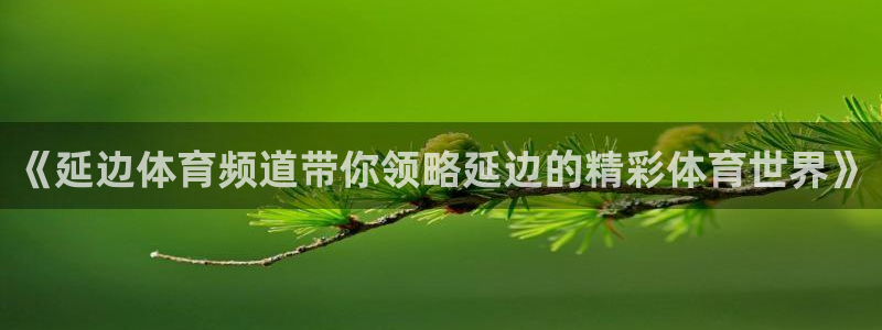 小九直播免费足球观看：《延边体育频道带你领略延边的精彩体育世界》