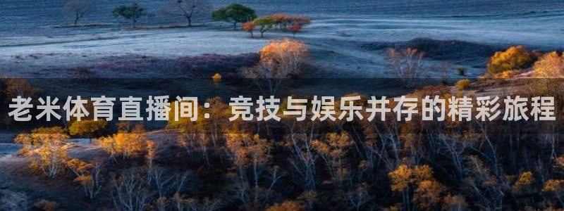 小九直播nba乐悠：老米体育直播间：竞技与娱乐并存的精彩旅程