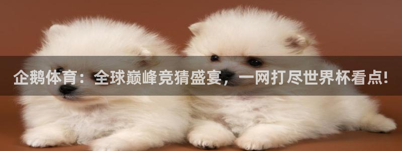 小九直播app下载：企鹅体育：全球巅峰竞猜盛宴，一网打尽世界杯看点!
