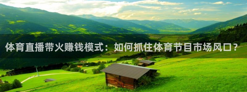 足球小九直播：体育直播带火赚钱模式：如何抓住体育节目市场风口？