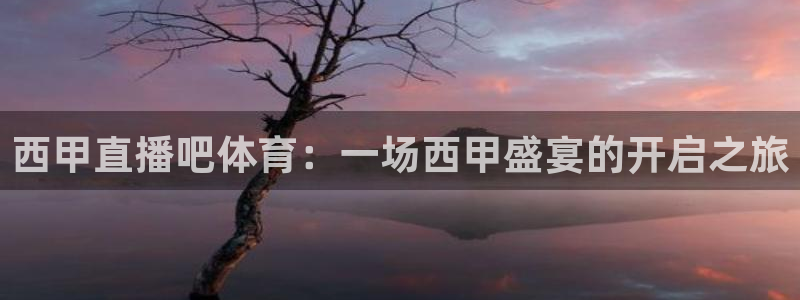 小九直播间现场直播nba：西甲直播吧体育：一场西甲盛宴的开启之旅