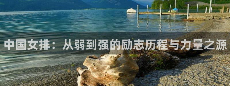 小九直播官方体育下载安装：中国女排：从弱到强的励志历程与力量之源