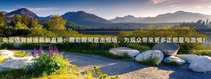 足球小九直播：央视体育频道最新直播：精彩瞬间直击现场，为观众带来更多正能量与激情！
